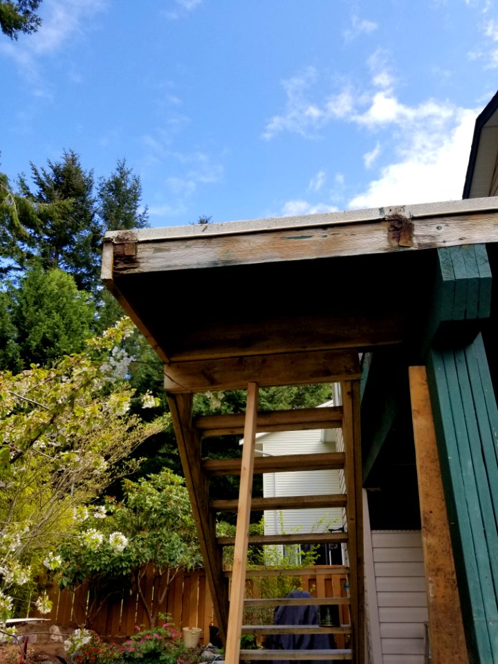 Day 111 deck reno