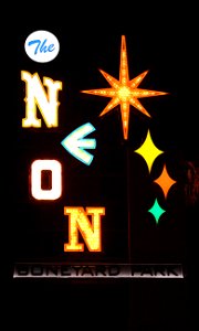 The Neon Boneyard
