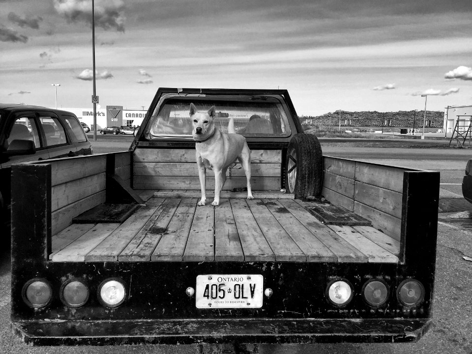 Brett Kissel, as7, iphone6plus, Black and white, street photography. sony 24mm - 240mm, sony 55mm, zeiss,