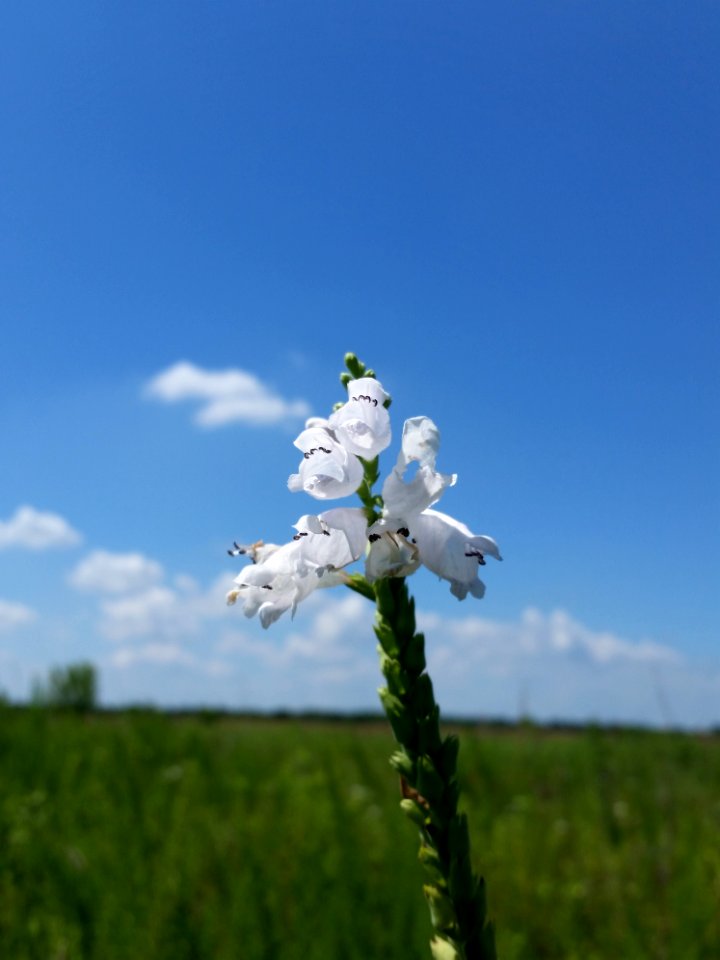 20150627 152204