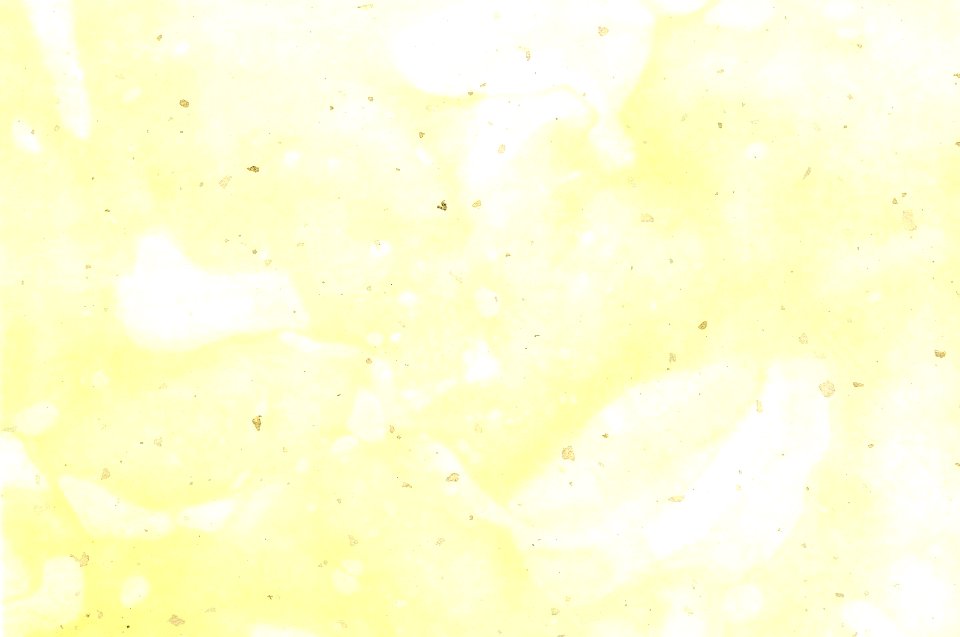 paper scan