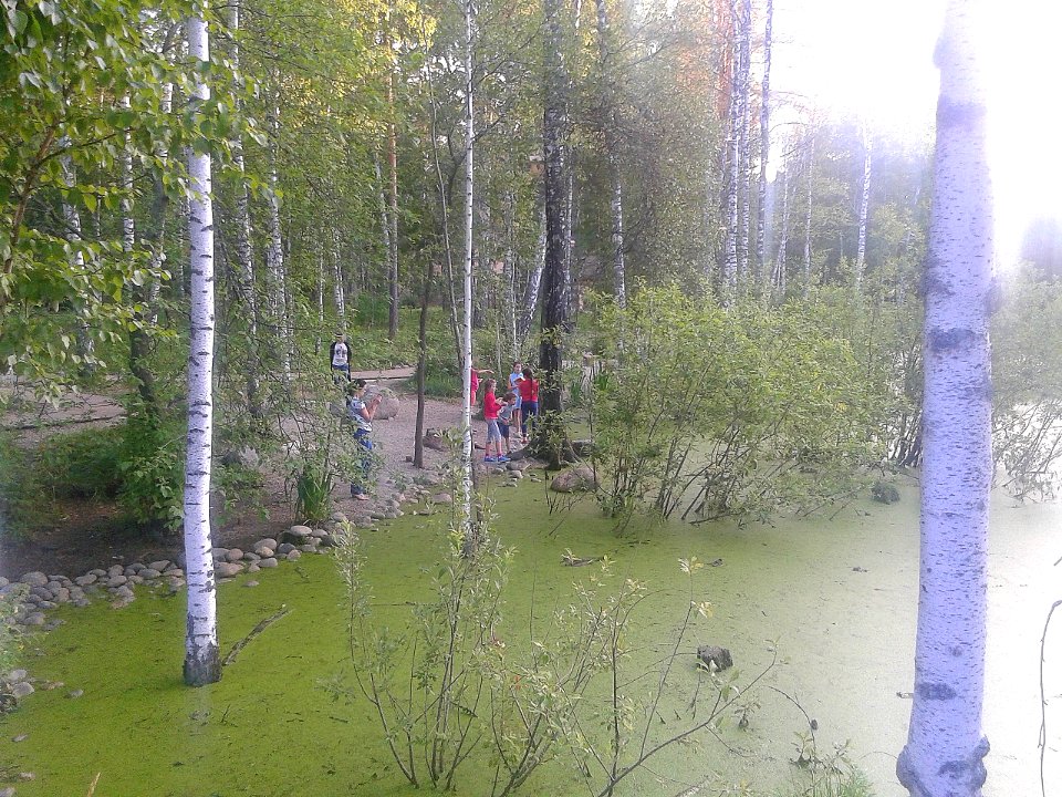 Утиное озеро, Академгородок, Новосибирск
