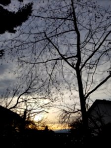 Day 347 on the walk home