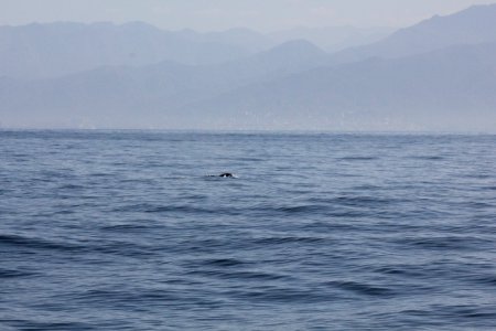 IMG 8555