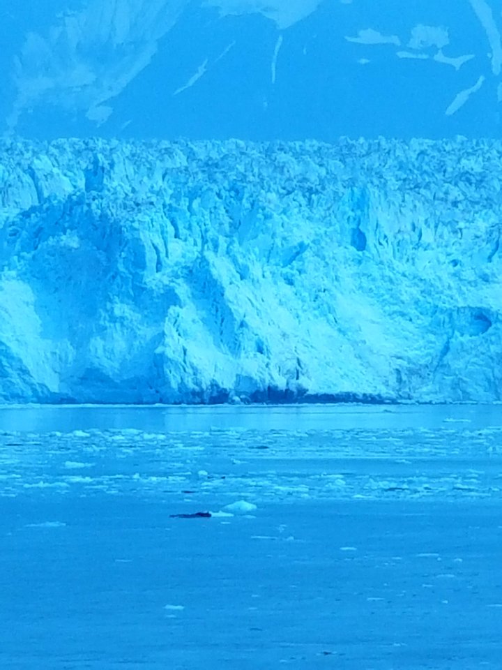Hubbard glacier through polarized glass