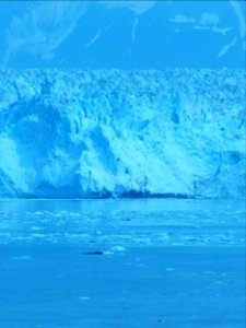 Hubbard glacier through polarized glass