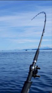 Day 197. Nice day on the water.