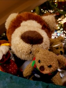 Day 335 Nosey bears
