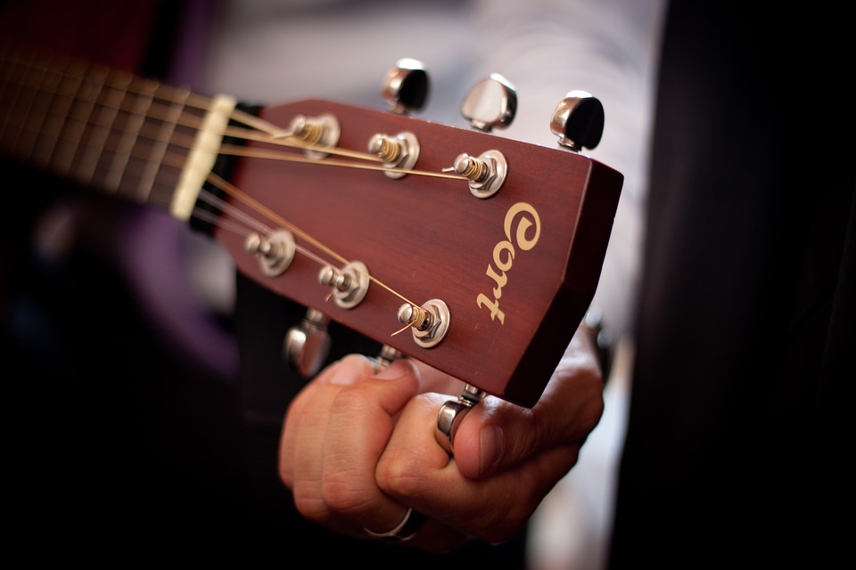 Guitar guitarist music