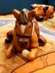 Horse and cow at yyc