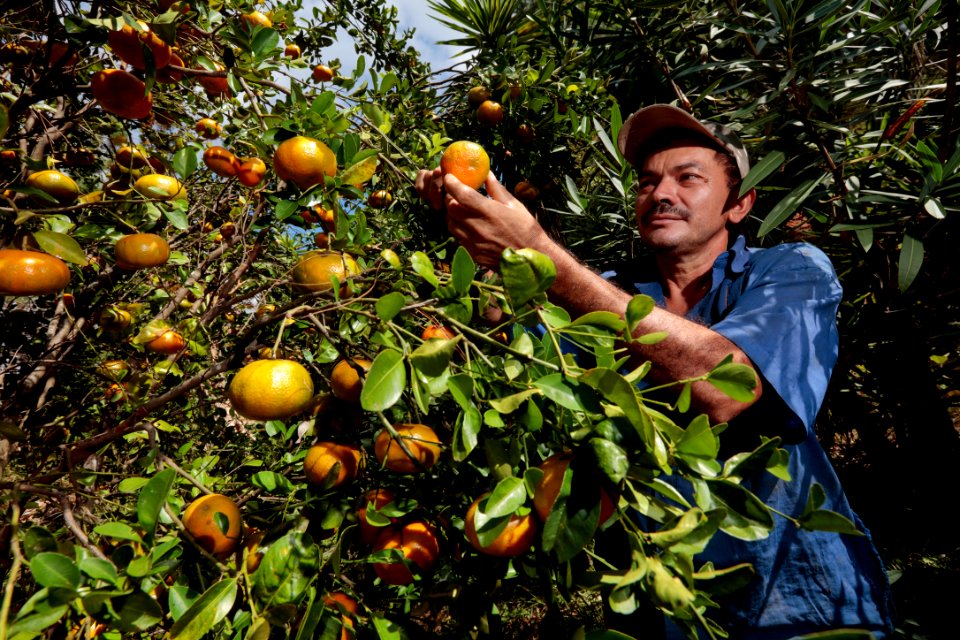 BLUE HARVEST EL SALVADOR