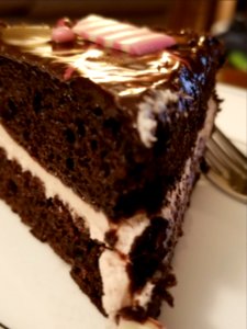Day 073 someone said there should be cake tonight