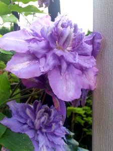 2015-05-23 16.29.41