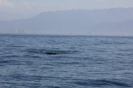 IMG 8539