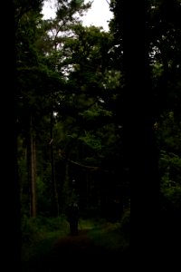 IMG 0236