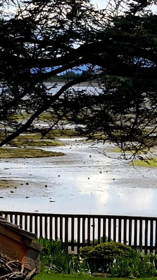 View from the path:Filberg