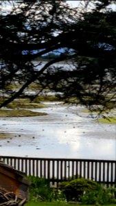 View from the path:Filberg