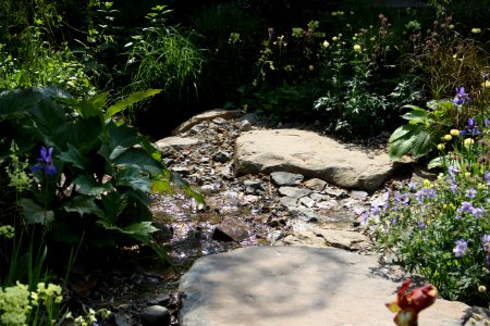 Chelsea Flower Show 2018-20
