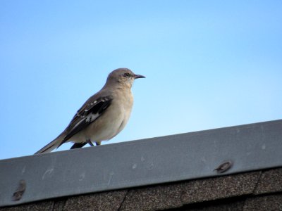 Keeping Watch