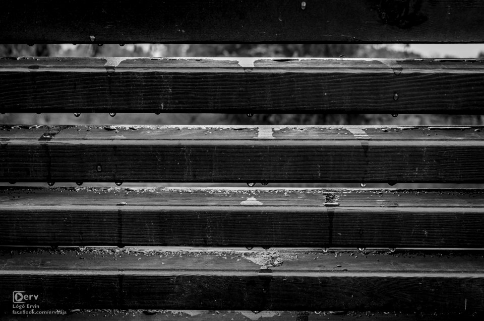 Baja in Black & White