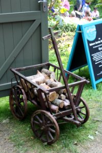 Chelsea Flower Show 2018-8