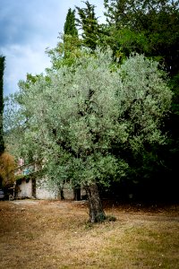  italien2017-4
