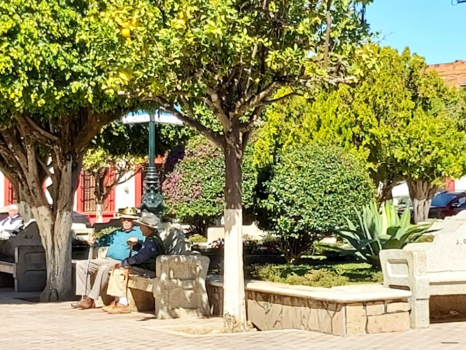 Mascota storytellers in the square