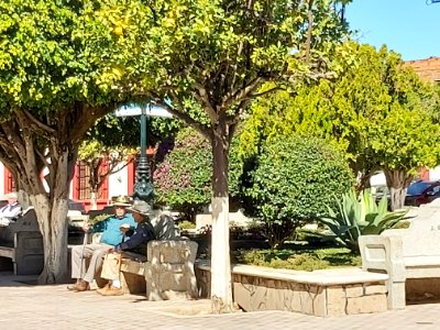Mascota storytellers in the square