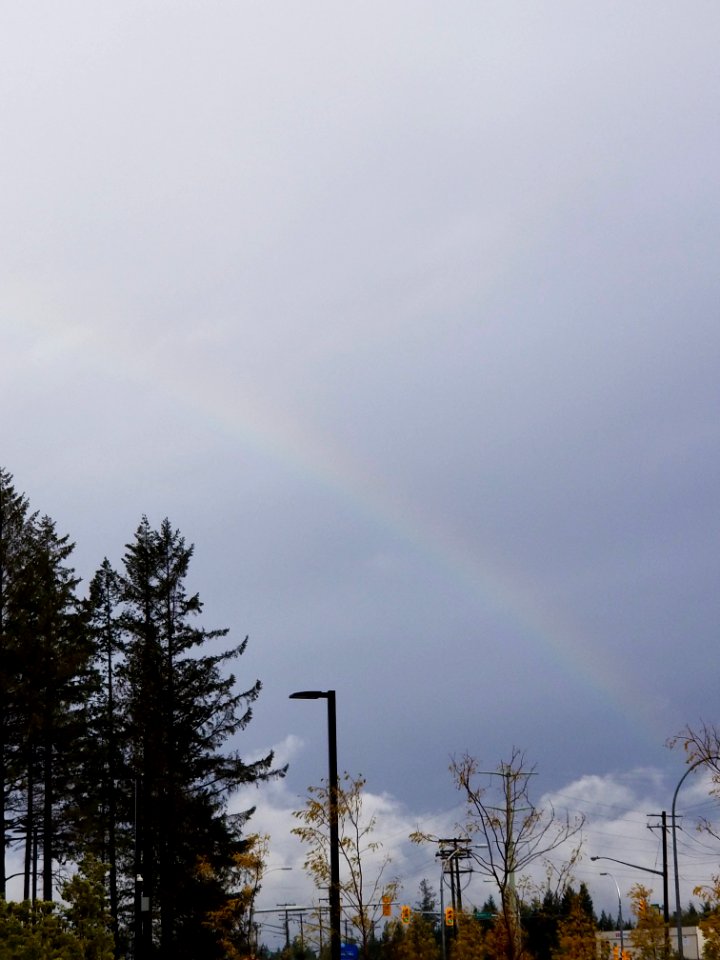 Day 289 disappearing rainbow