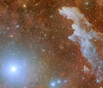 Rigel and IC 2118 - The Witch Head Nebula photo