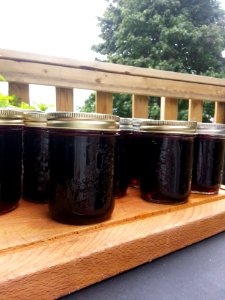 I don't think you're ready for this jelly
