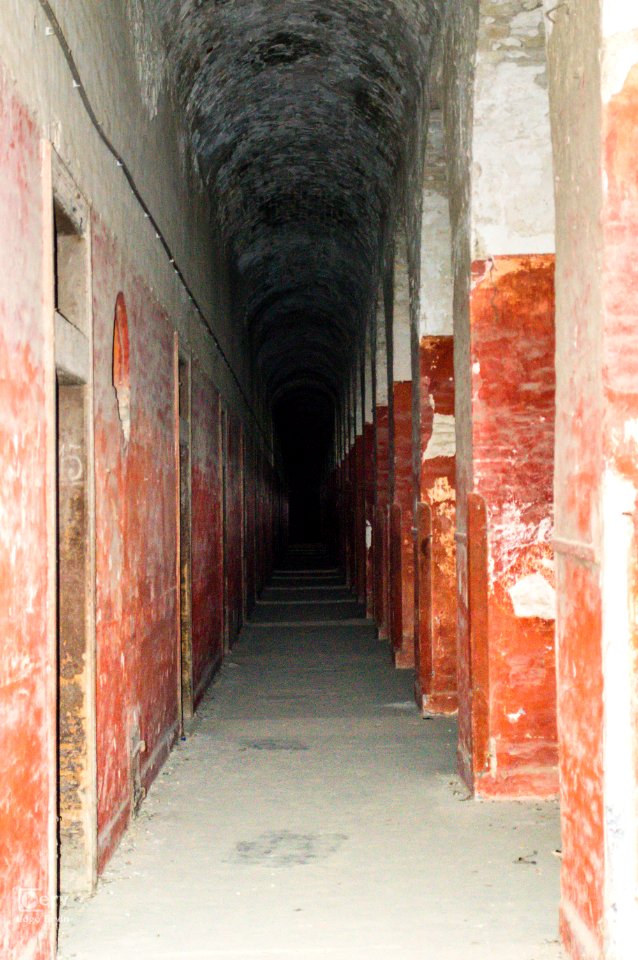 DSC 4141