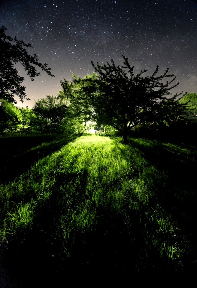 Nacht