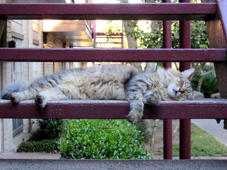 Crashed Out