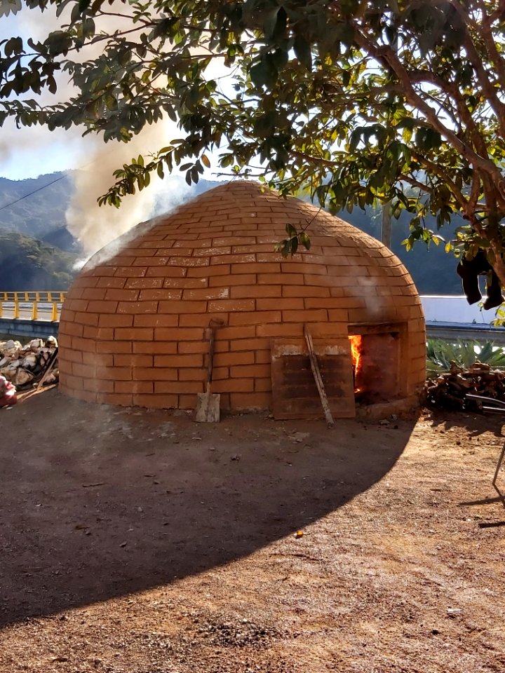 baking agave for tequila