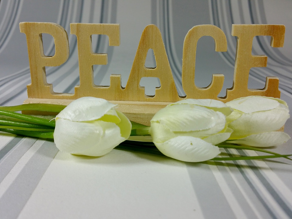 Flowers wood background