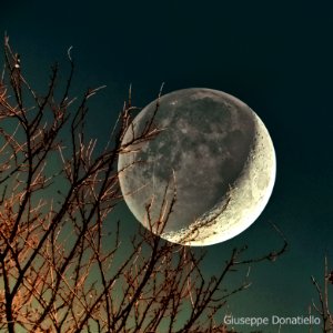 Moon on December 7, 2013