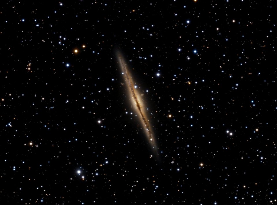 NGC 891