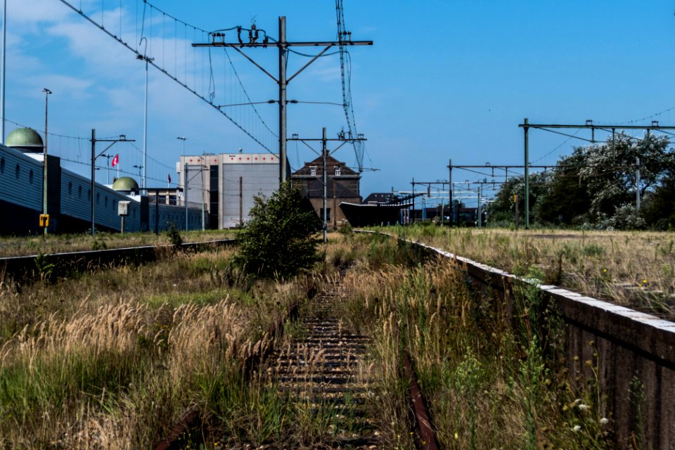 Abandoned Railway platform, Hoek van Holland