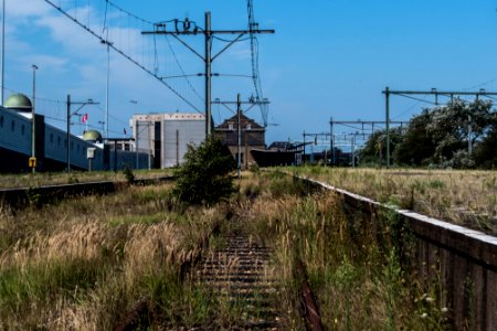 Abandoned Railway platform, Hoek van Holland