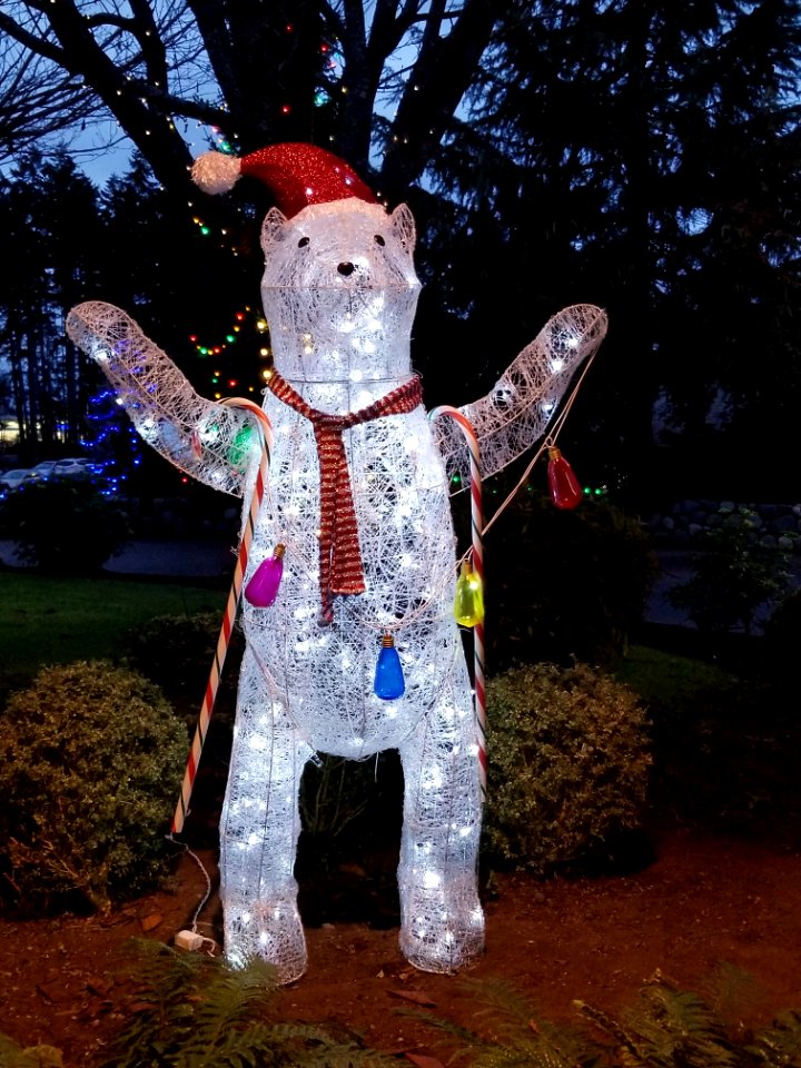 Day 332 Christmas bear is ready