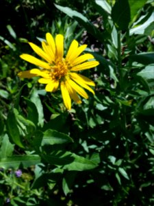 20150627 152434