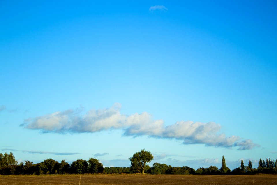 Landscape2