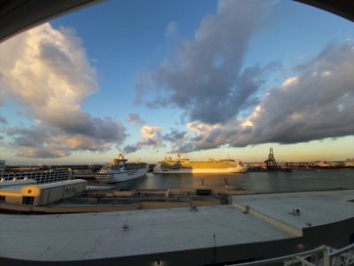Celebrity Reflection