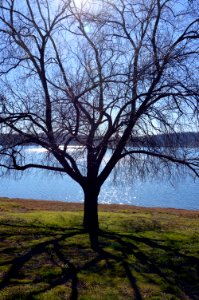Lago di Martignano