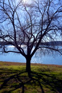 Lago di Martignano photo