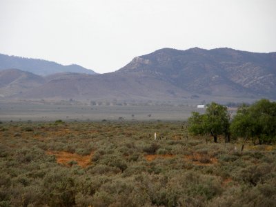 PA180050