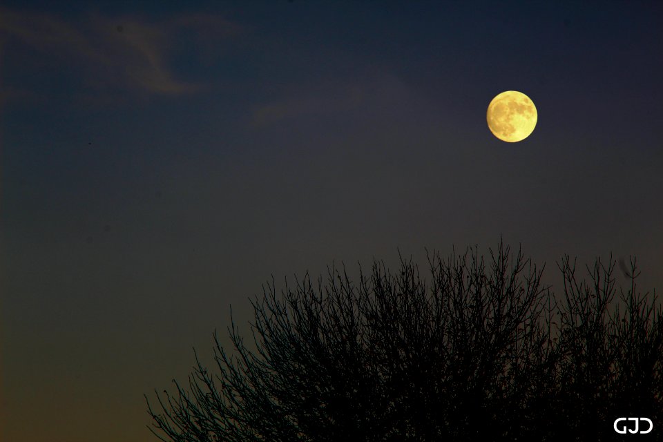 Almost Full Moon on October 29, 2020