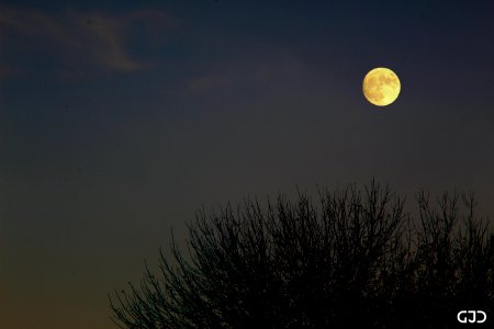 Almost Full Moon on October 29, 2020 photo