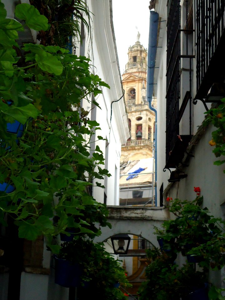 callejón de Cordoba